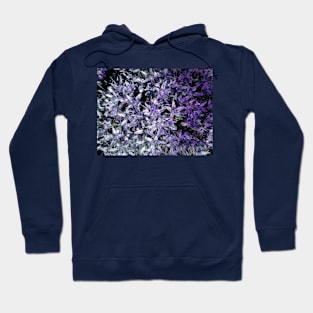 The Abstraction of Nature Hoodie